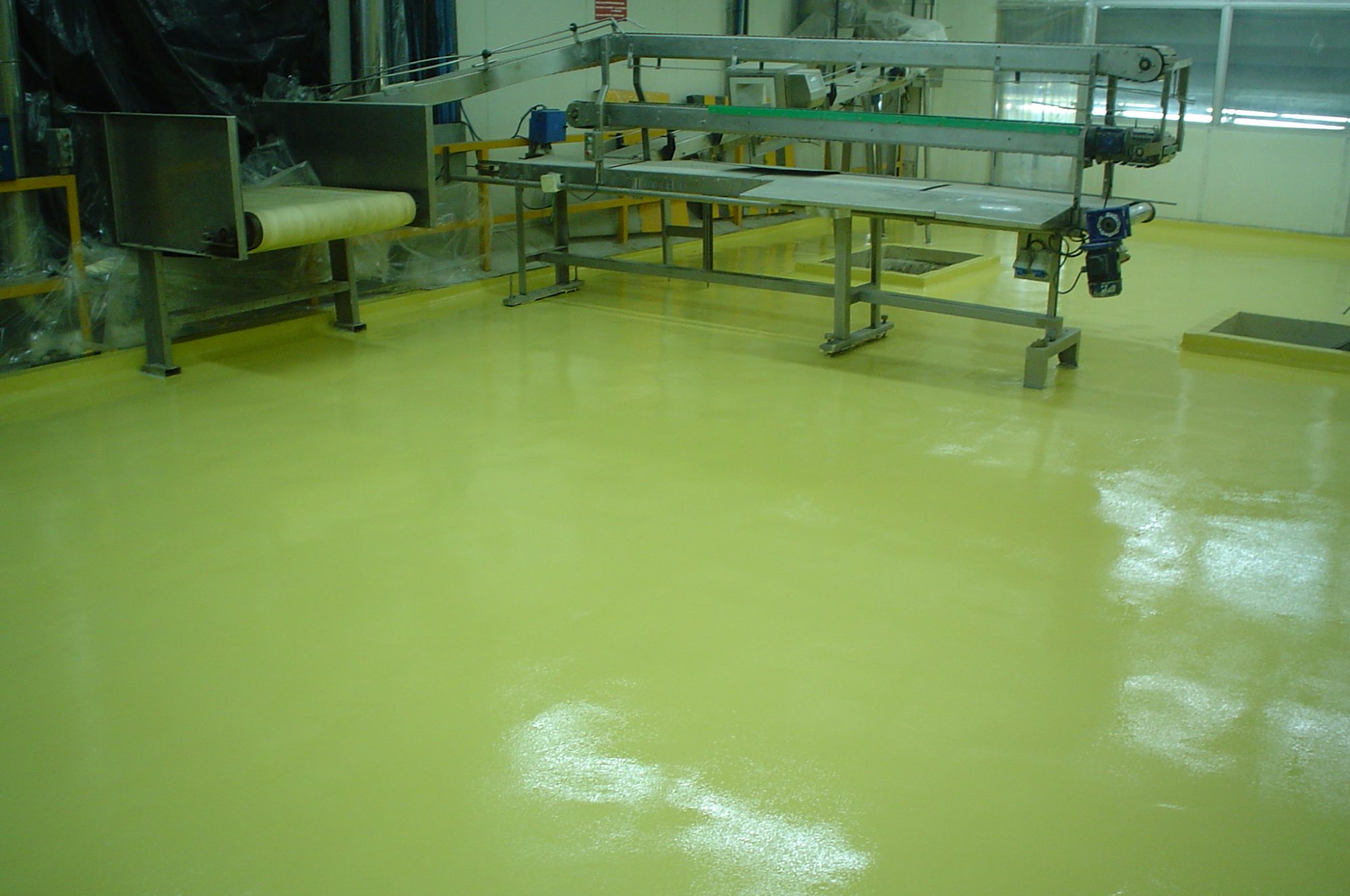 Planta Nestle foto 2