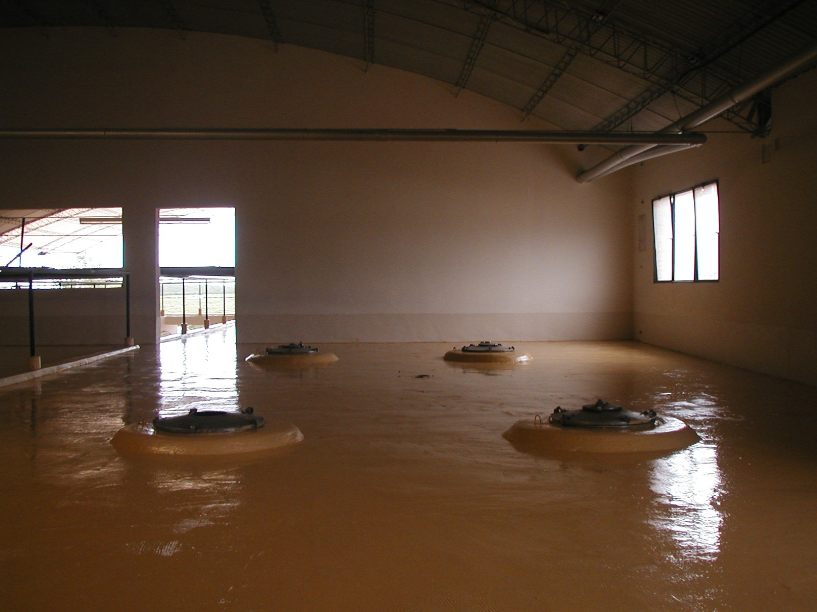 Bodega Sanchez foto 3